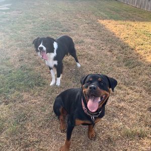 Meet your Posher, Travis